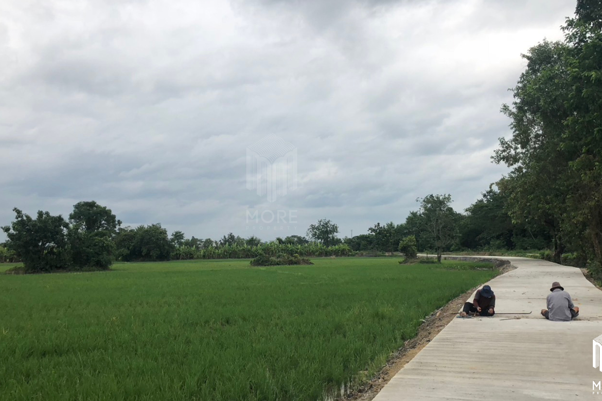 Property ID185LS Land for sale in Hang Dong 24 Rai  near Jungle Adventure Park-MR-185LS