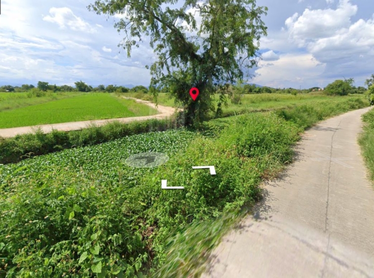 Property ID185LS Land for sale in Hang Dong 24 Rai  near Jungle Adventure Park-MR-185LS