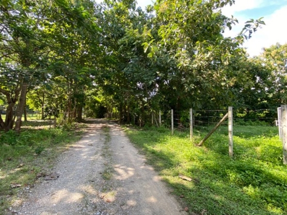 A nice plot of land for sale in Nam Phrae