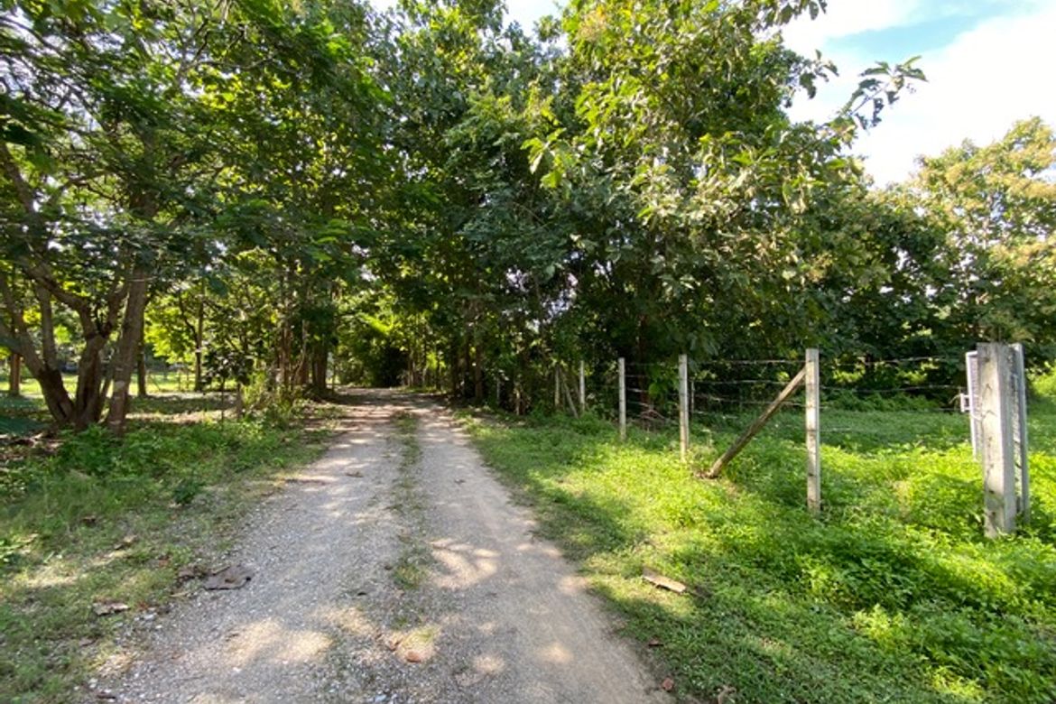 A nice plot of land for sale in Nam Phrae