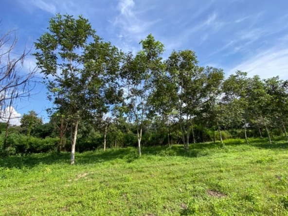 A nice plot of land for sale in Nam Phrae