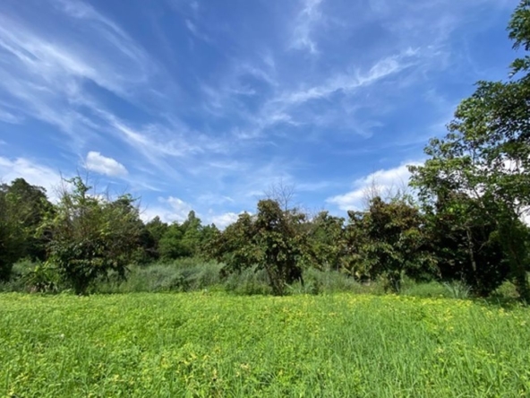 A nice plot of land for sale in Nam Phrae