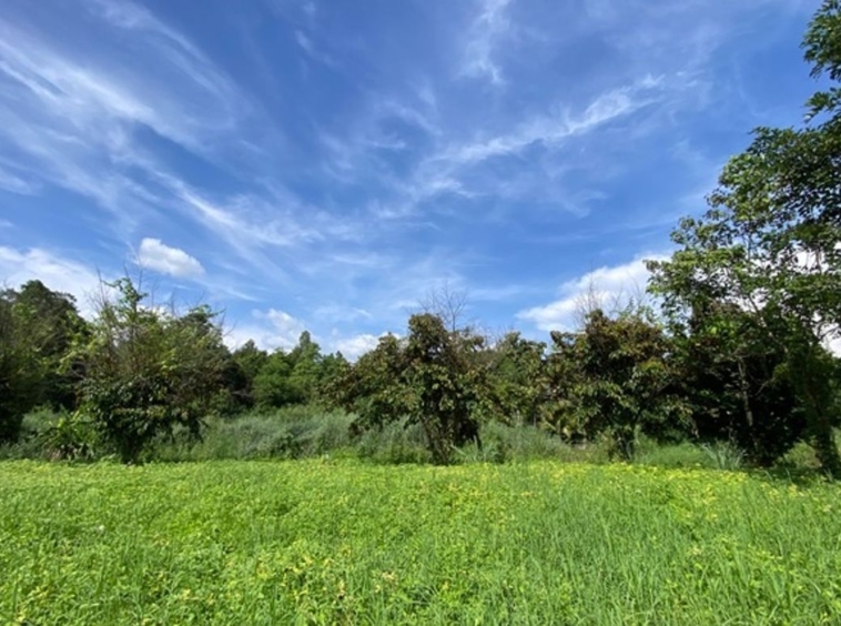 A nice plot of land for sale in Nam Phrae