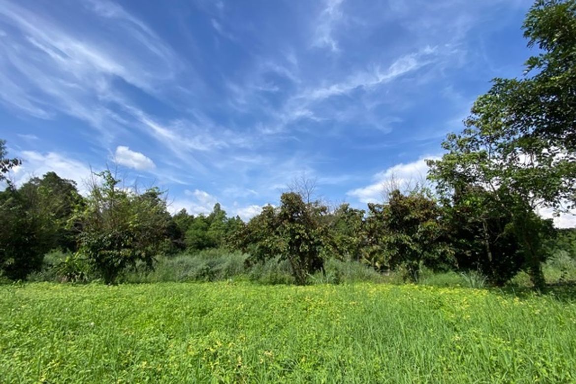 A nice plot of land for sale in Nam Phrae