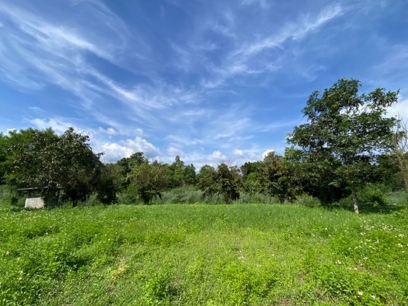 A nice plot of land for sale in Nam Phrae