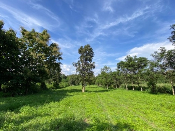 A nice plot of land for sale in Nam Phrae