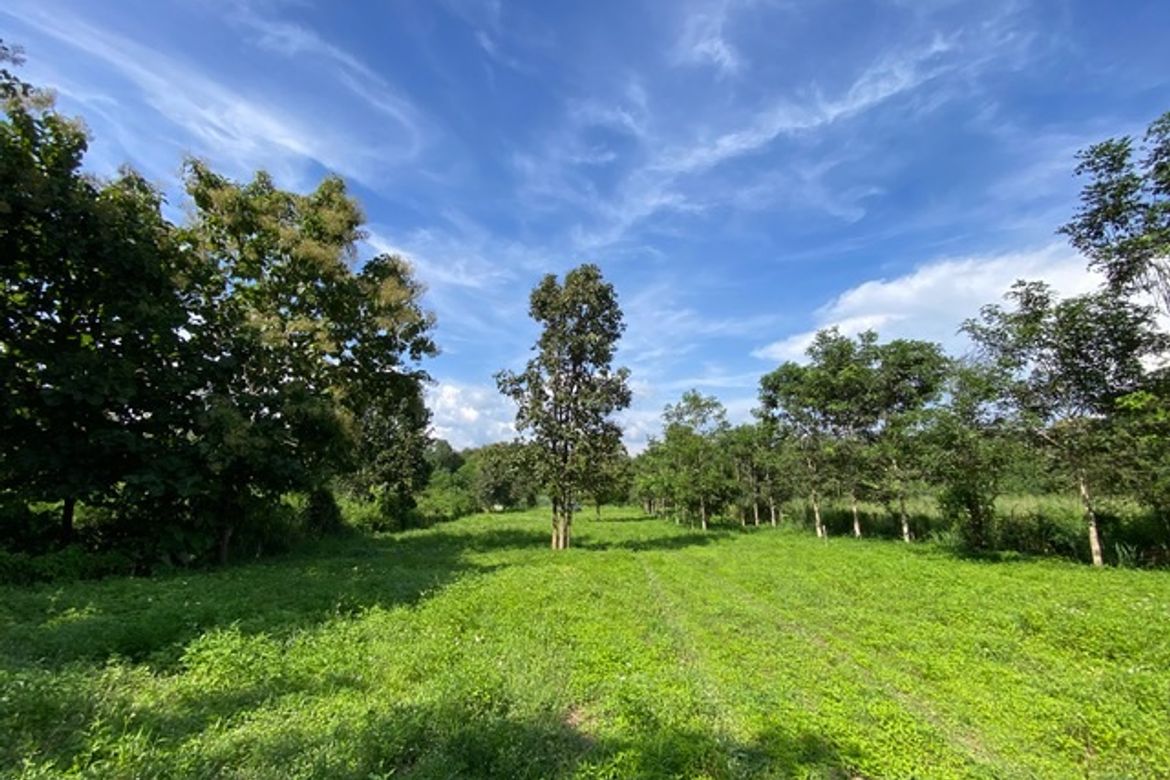 A nice plot of land for sale in Nam Phrae