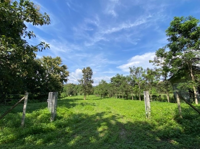 A nice plot of land for sale in Nam Phrae