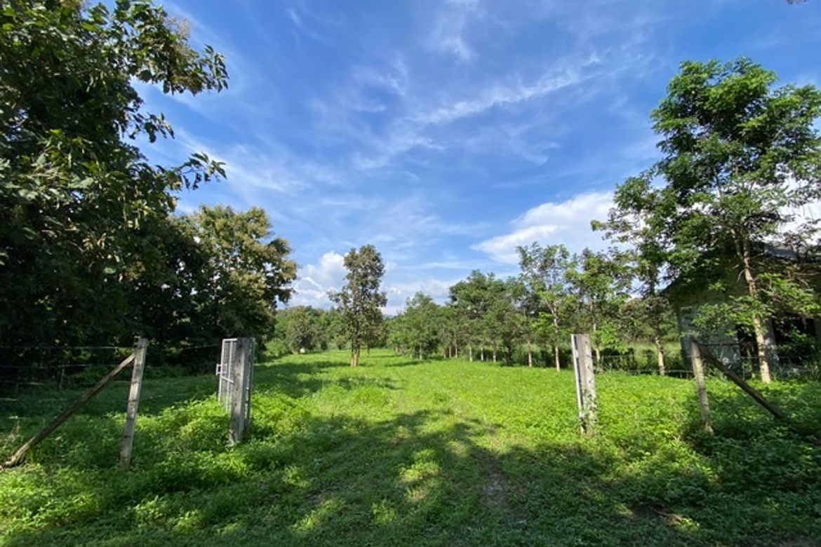 A nice plot of land for sale in Nam Phrae