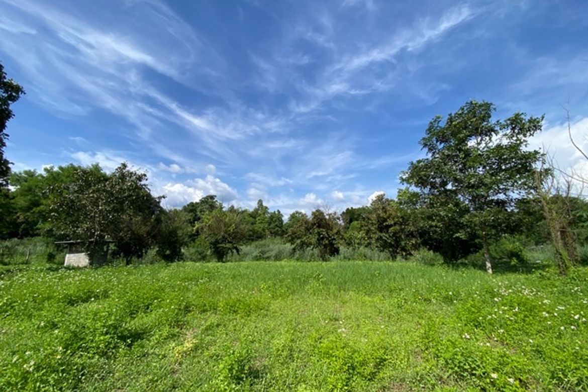 A nice plot of land for sale in Nam Phrae