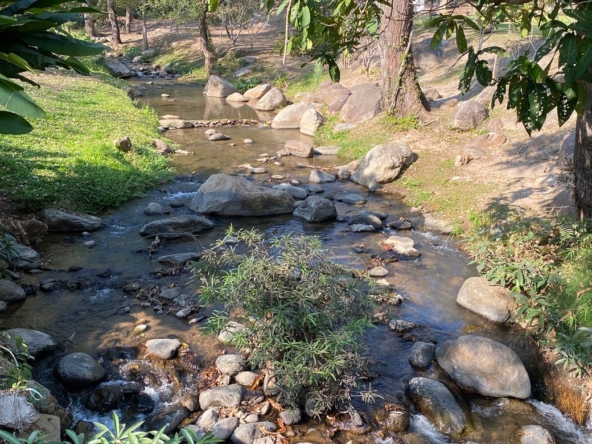 A beautiful plot by the stream in Hang Dong for sale-P-PLS896