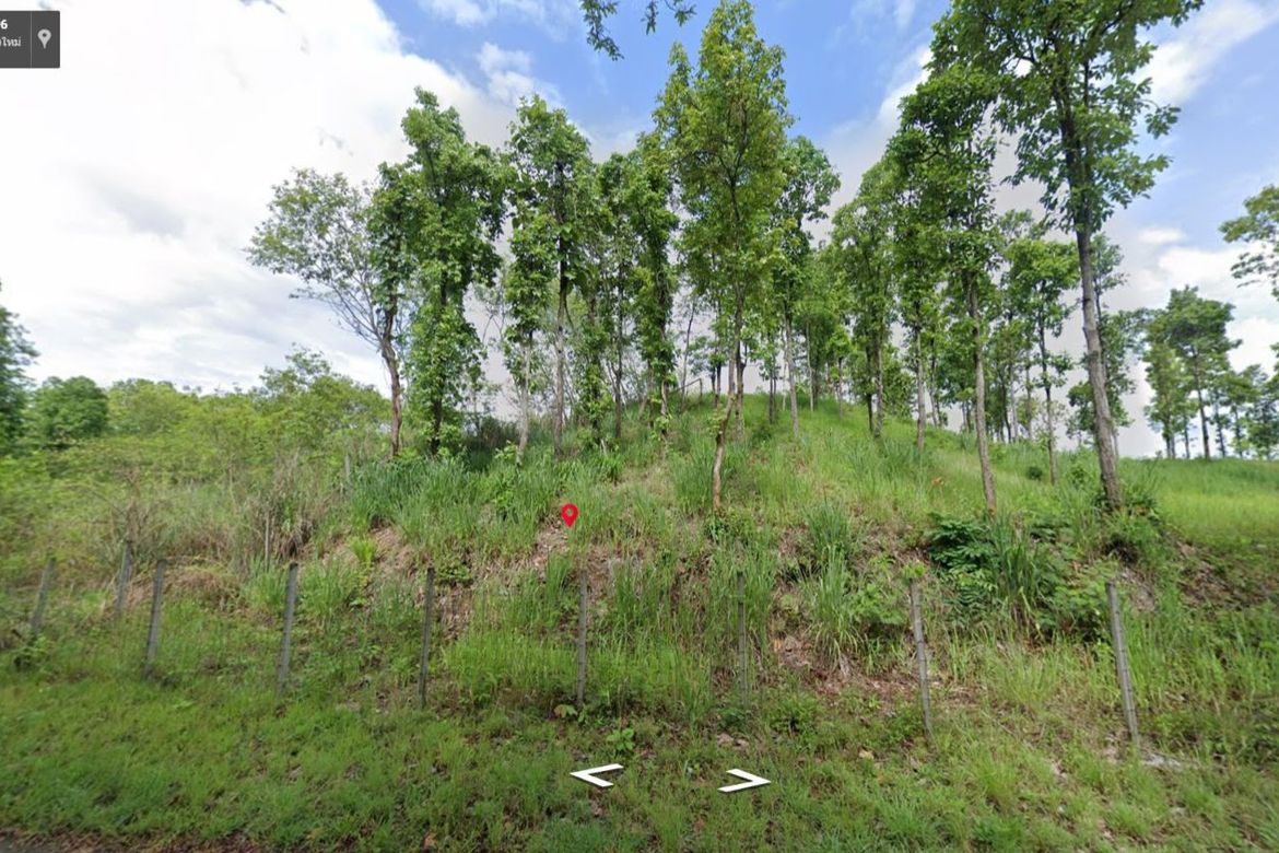 Property id120LS land for sale chiang mai 12-3-32 sq.wa Mae onn Chiangmai-MR-120LS