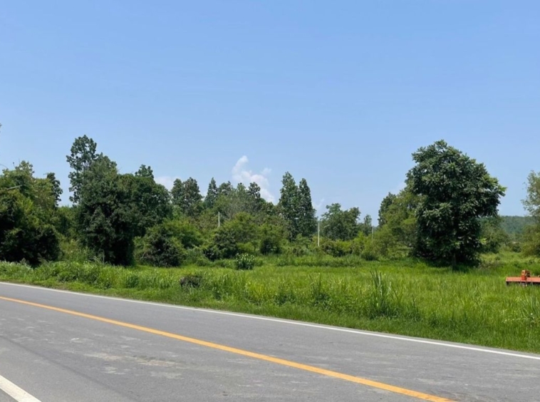 Property id  062LS Land for sale in Chiang Mai. Mae Rim-Ban Rai Road