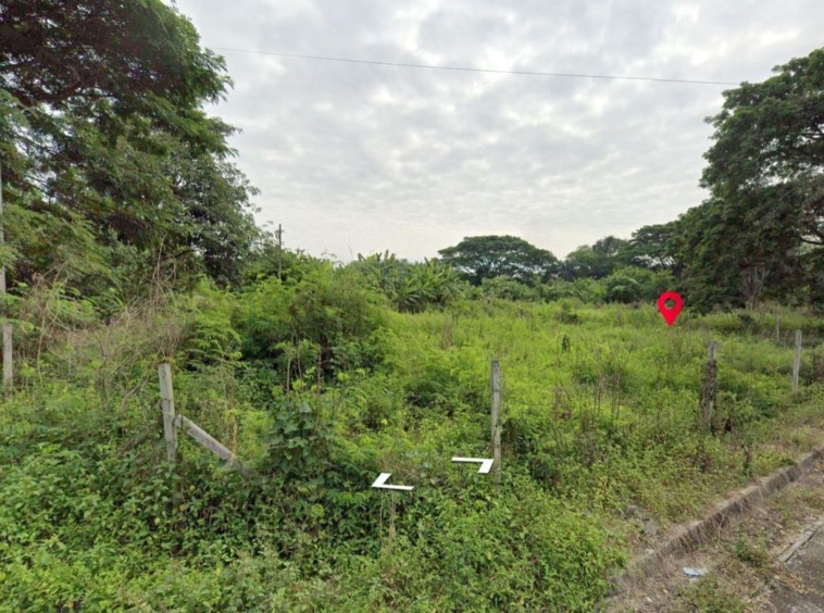 Property id1262ls sale 3 plot of lands 1 rai 1 ngan 60 sq.wa. near Supha bee