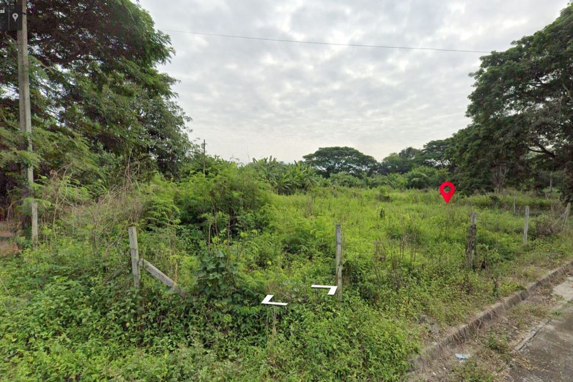 Property id1262ls sale 3 plot of lands 1 rai 1 ngan 60 sq.wa. near Supha bee