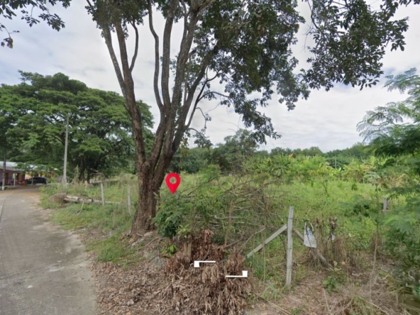 Property id1262ls sale 3 plot of lands 1 rai 1 ngan 60 sq.wa. near Supha bee