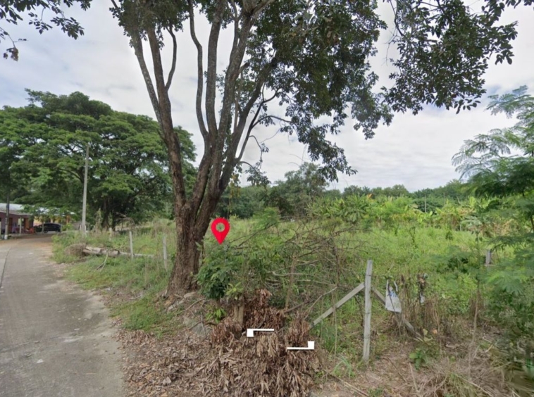 Property id1262ls sale 3 plot of lands 1 rai 1 ngan 60 sq.wa. near Supha bee