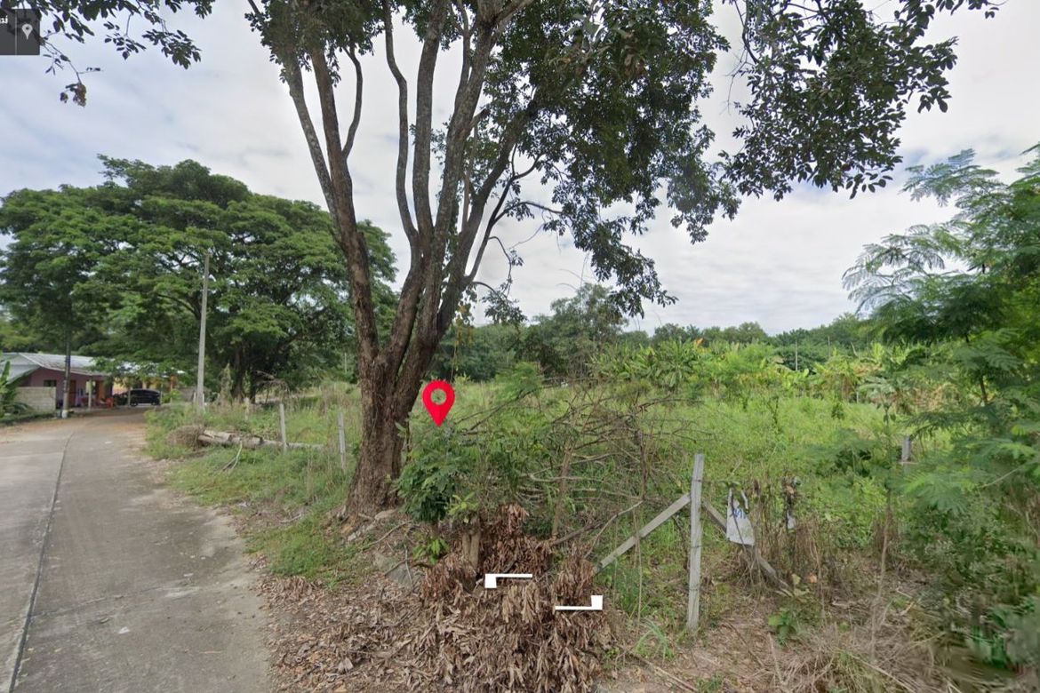 Property id1262ls sale 3 plot of lands 1 rai 1 ngan 60 sq.wa. near Supha bee