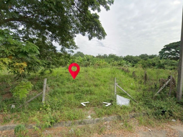 Property id1262ls sale 3 plot of lands 1 rai 1 ngan 60 sq.wa. near Supha bee