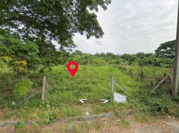 Property id1262ls sale 3 plot of lands 1 rai 1 ngan 60 sq.wa. near Supha bee