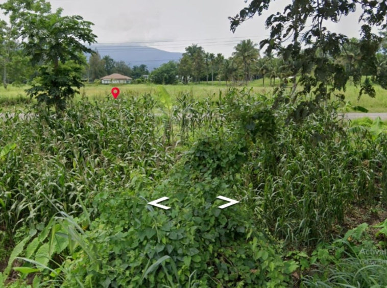 Property ID172LS Land for sale in Mae Rim 1-2 -51 Rai  near Green valley golf club-MR-172LS