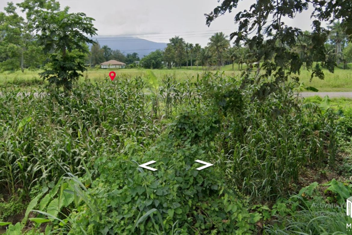 Property ID172LS Land for sale in Mae Rim 1-2 -51 Rai  near Green valley golf club-MR-172LS