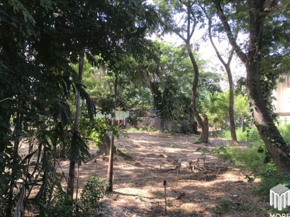 Property ID202LS Land for sale in Mae Rim 1-0-3 Rai near Nakornping Hospital.-MR-202LS