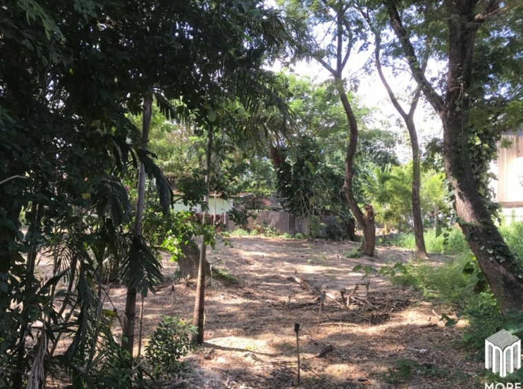 Property ID202LS Land for sale in Mae Rim 1-0-3 Rai near Nakornping Hospital.-MR-202LS