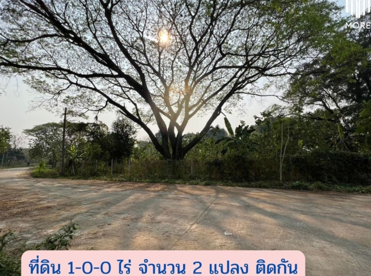 MORE-123LS Land for sale in Soi Wat Don Kaew