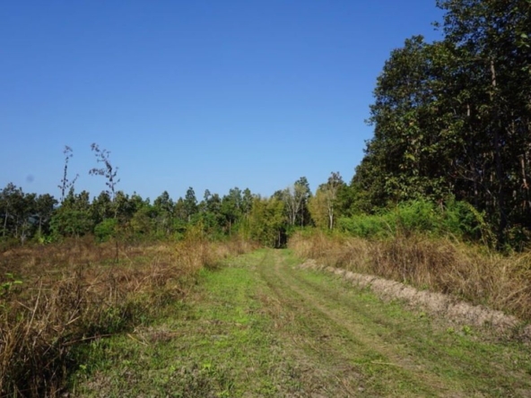 Land for Sale in Mae Rim area