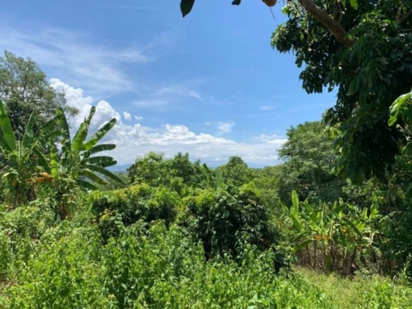 A beautiful plot of land for sale in Mae Rim