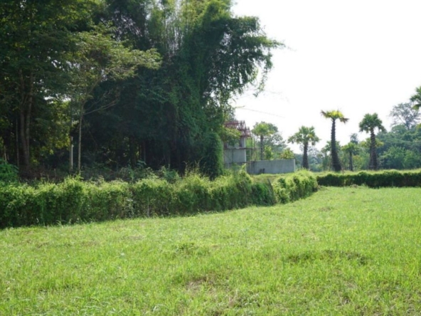 Large plot of land with mountain views for sale in Mae Rim