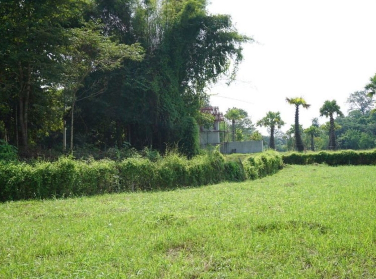 Large plot of land with mountain views for sale in Mae Rim