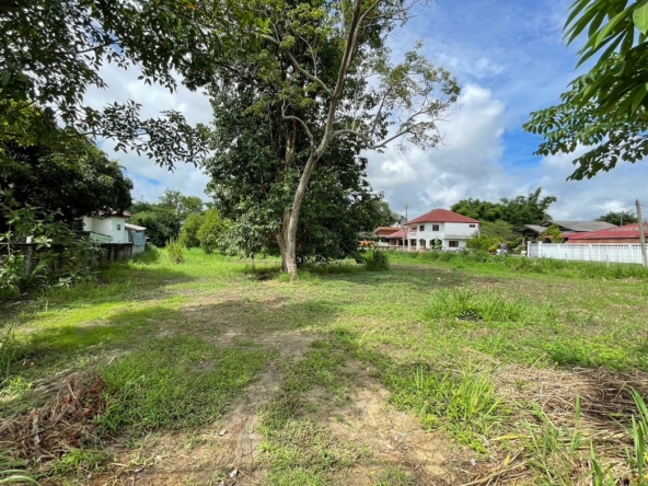 Beautiful 2 rais plot of land for sale in Mae Rim-P-PLS831