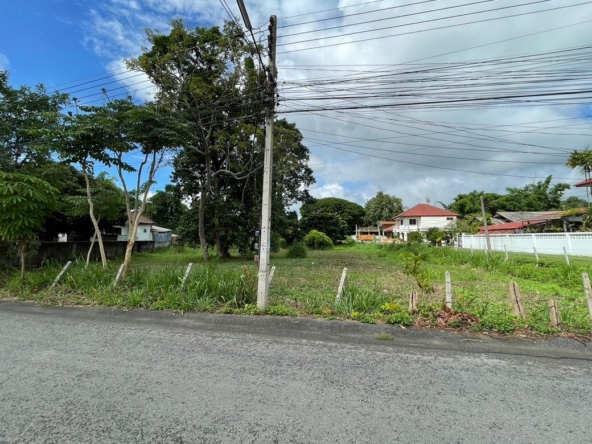 Beautiful 2 rais plot of land for sale in Mae Rim-P-PLS831