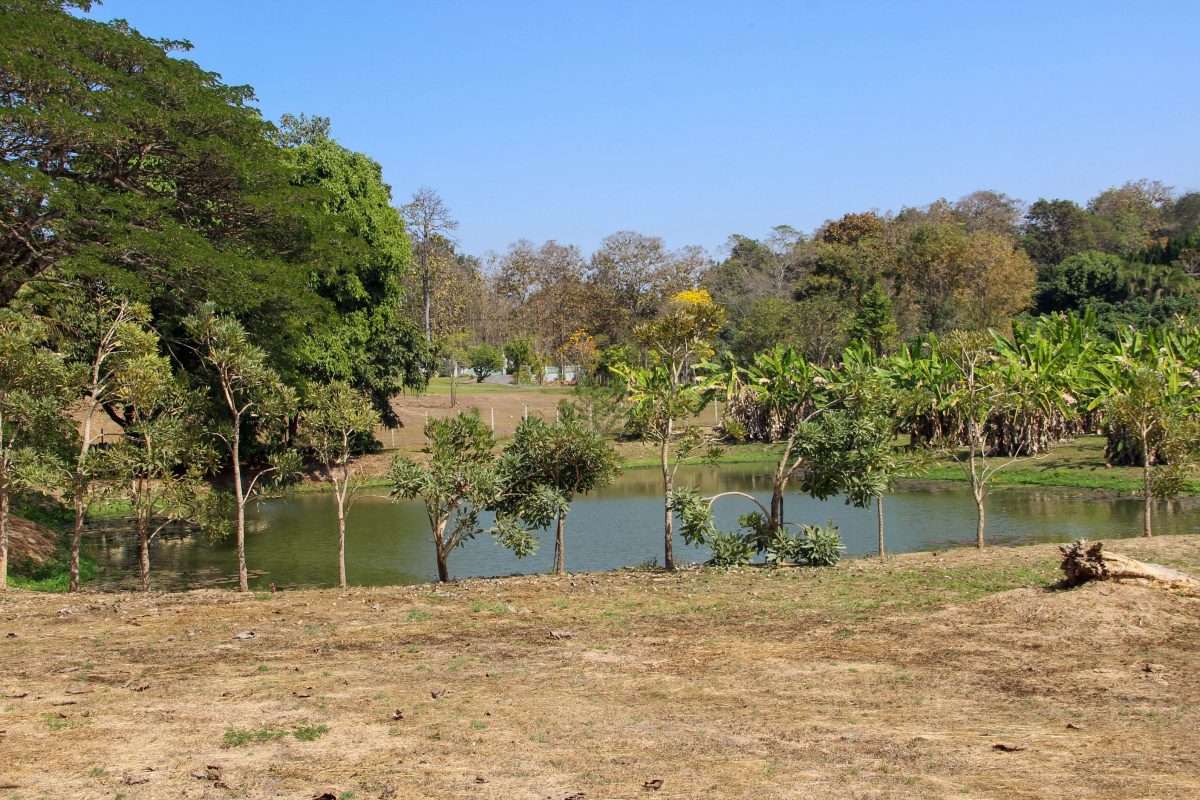 Land For Sale Near Four Seasons Hotel Mae Rim-PH-LAND136