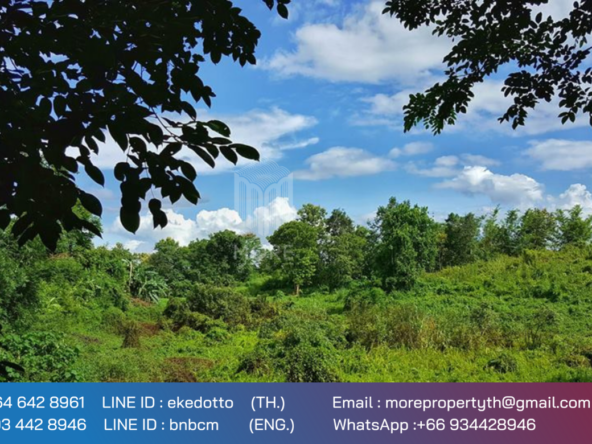 More-067LS Land for sale in Chiang Mai 123 Rai