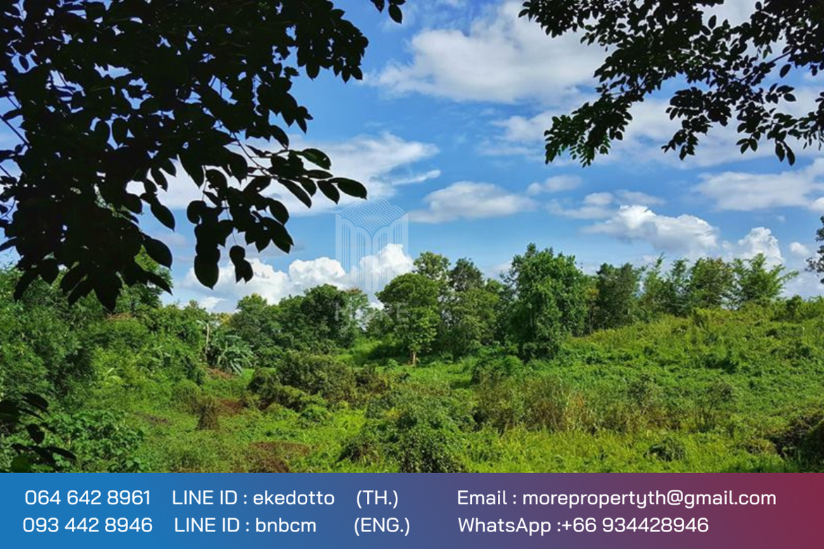 More-067LS Land for sale in Chiang Mai 123 Rai