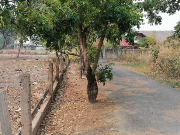 Property ID165LS Land for sale in Pa Dat