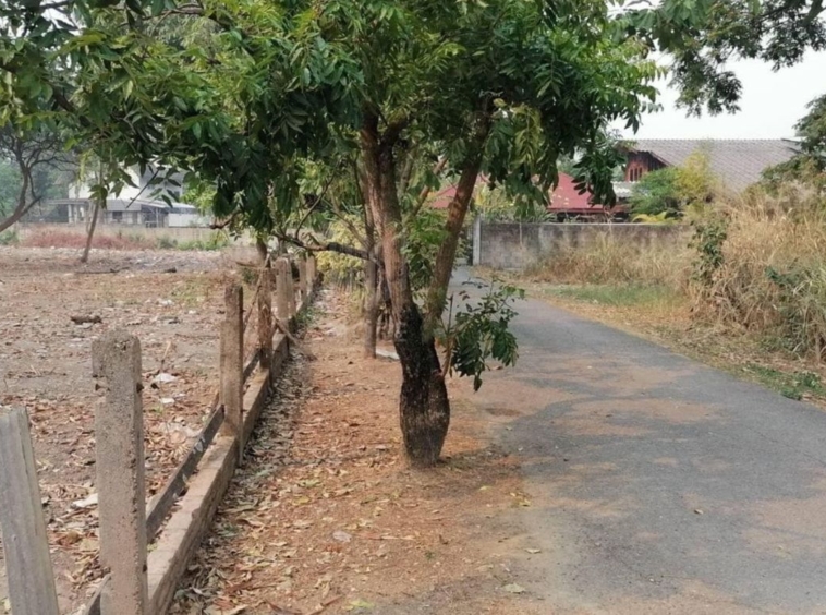 Property ID165LS Land for sale in Pa Dat