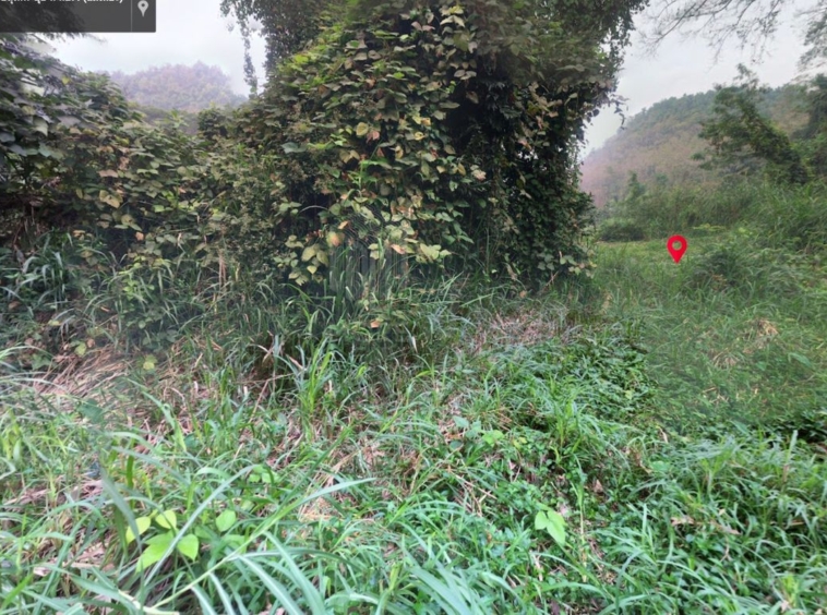 Property id 184LS Land for sale in Mae Hia 1-0-58 Rai  near Doi Khum Temple-MR-184LS