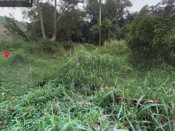 Property id 184LS Land for sale in Mae Hia 1-0-58 Rai  near Doi Khum Temple-MR-184LS