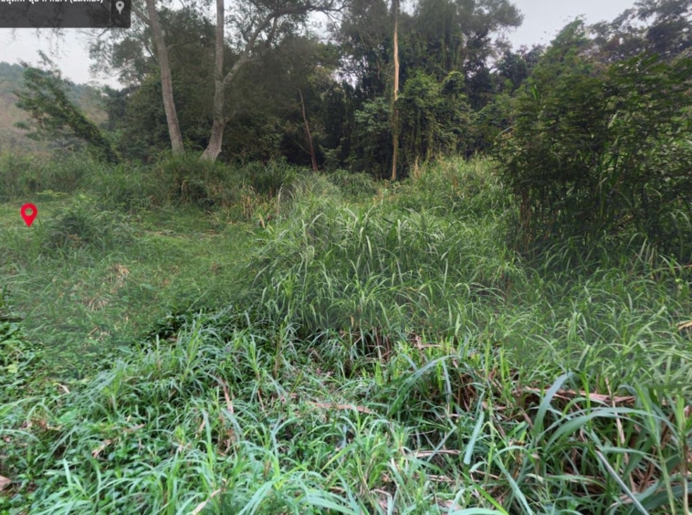 Property id 184LS Land for sale in Mae Hia 1-0-58 Rai  near Doi Khum Temple-MR-184LS