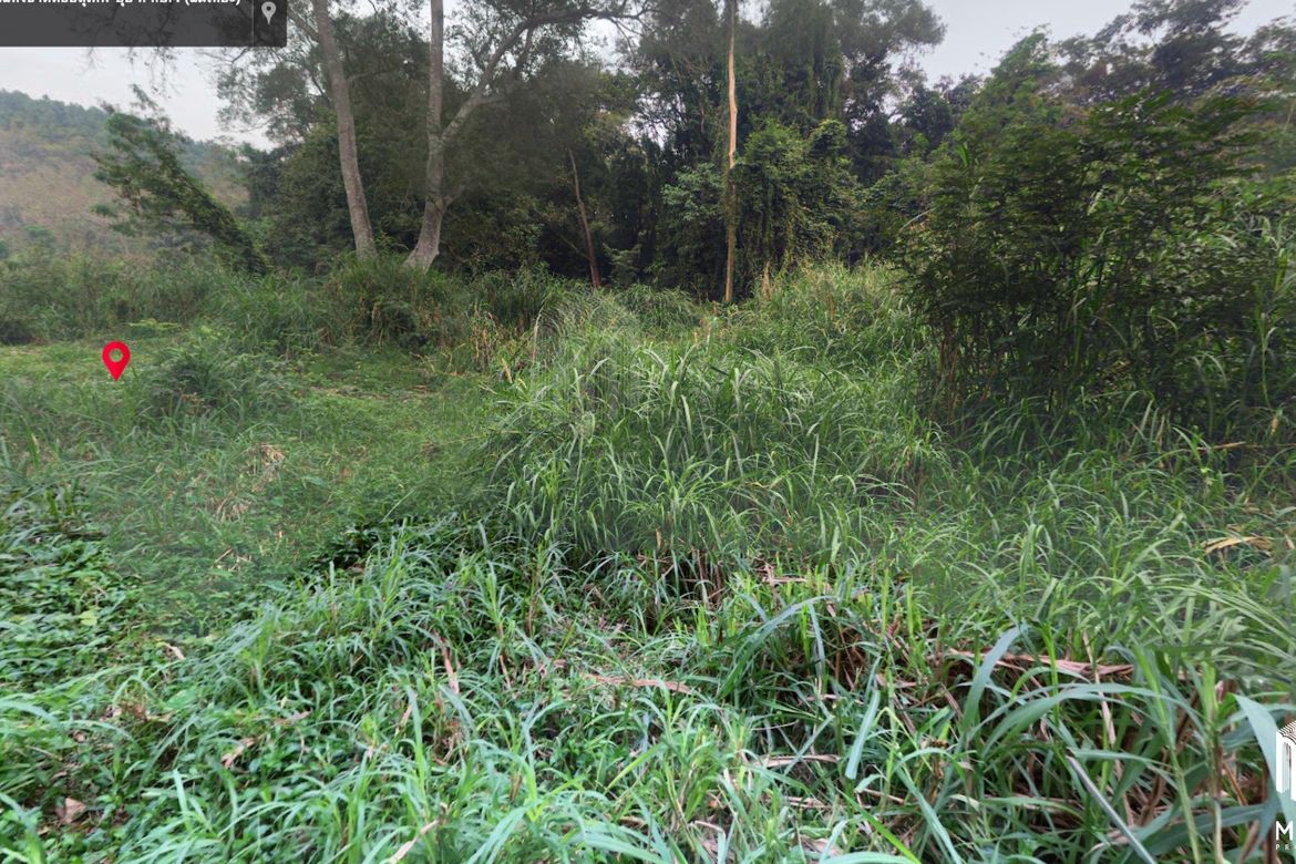 Property id 184LS Land for sale in Mae Hia 1-0-58 Rai  near Doi Khum Temple-MR-184LS