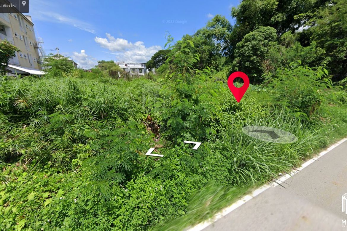 Property ID189LS Land for sale in Sutep Chiangmai 2Ngan near Chiangmai University-MR-189LS