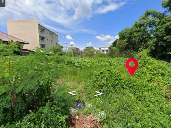 Property ID189LS Land for sale in Sutep Chiangmai 2Ngan near Chiangmai University-MR-189LS