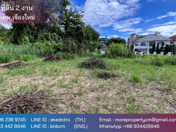 Property ID189LS Land for sale in Sutep Chiangmai 2Ngan near Chiangmai University-MR-189LS