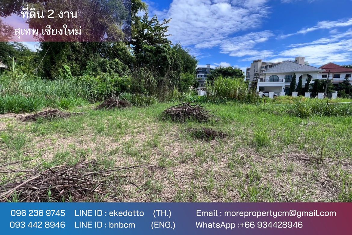 Property ID189LS Land for sale in Sutep Chiangmai 2Ngan near Chiangmai University-MR-189LS