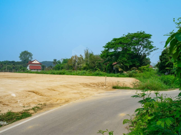 Land for sale Tha Wang Tan – Saraphi 4 Rai 94Sq.wa. between ring road 2