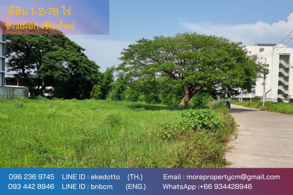 Land for sale behind Chiang Mai Rajabhat University